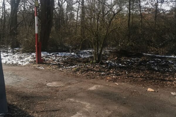 ab2d7b53-d848-4b62-a027-5cf924f65825